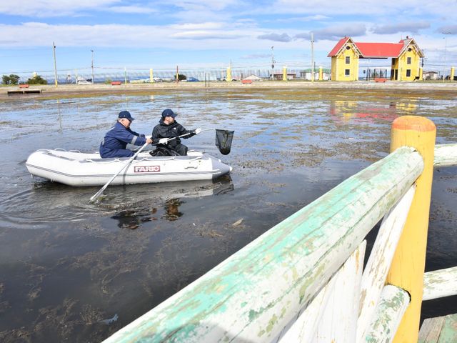 LIMPIEZA DE LAGUNA (3)