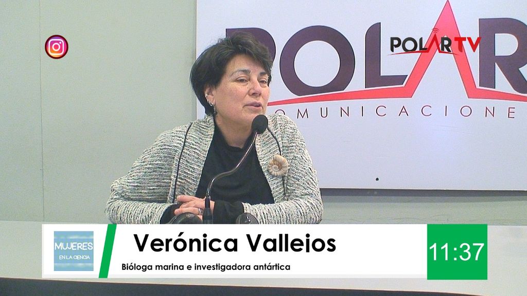 Imagen de WhatsApp 2024-08-30 a las 11 Imagen de WhatsApp 2024-08-30 a las 11