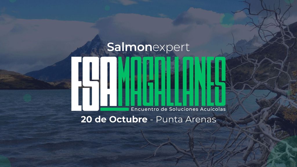 esamagallanes esamagallanes