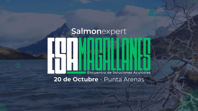 esamagallanes esamagallanes