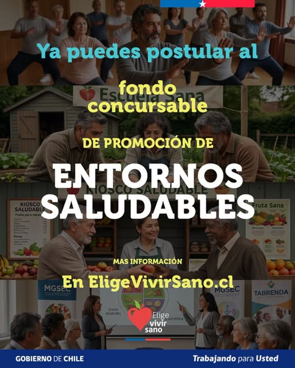 Elige Vivir Sano Elige Vivir Sano