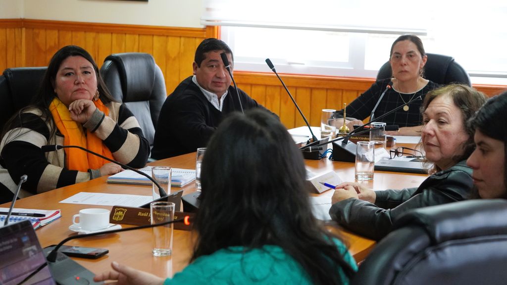 Presentación Concejo Municipal Presentación Concejo Municipal