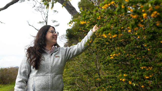 MET NATALES-0826 MET NATALES-0826