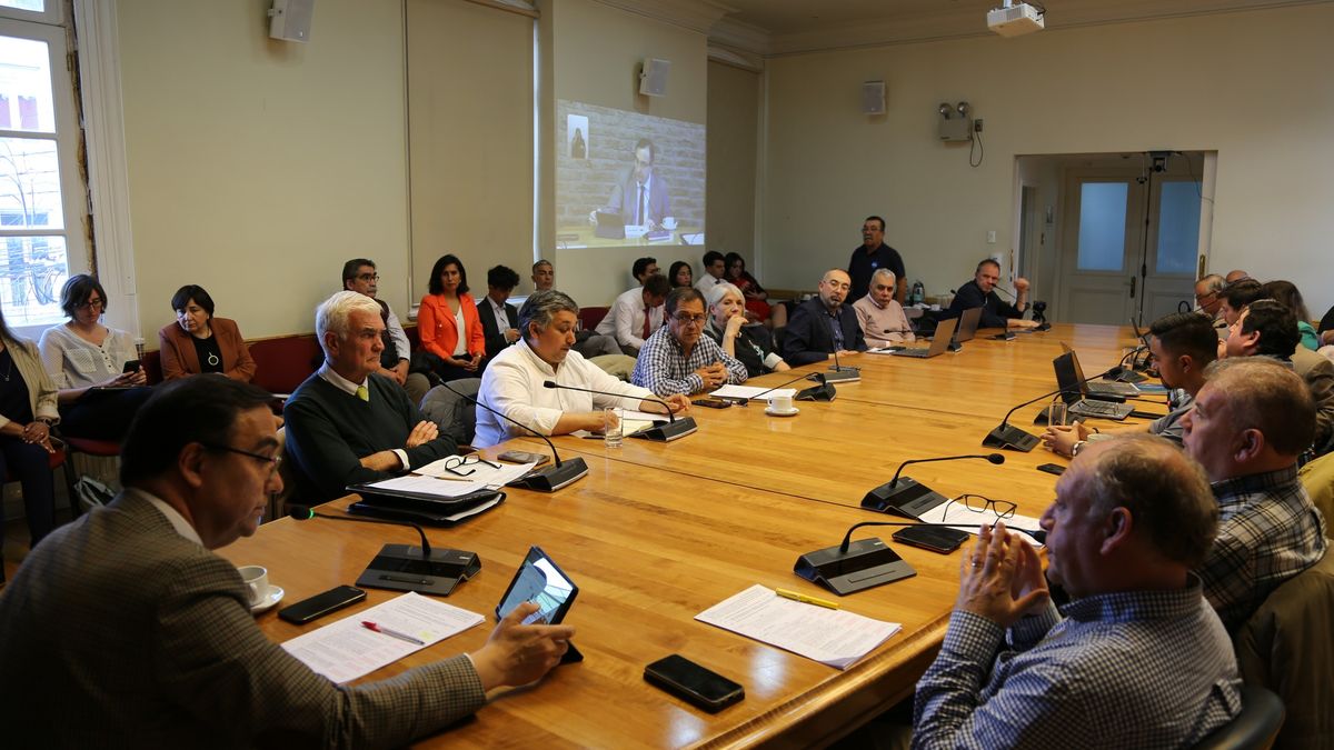 COREPM23-02-2026-1-Pleno COREPM23-02-2026-1-Pleno