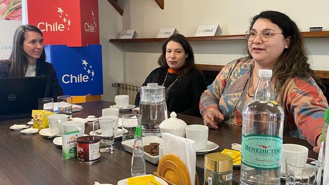 concurso_punta_arenas