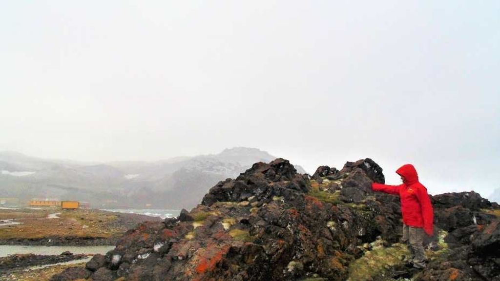 Investigadores-buscan-proteger-a-la-Antartica-de-invasiones-vegetales