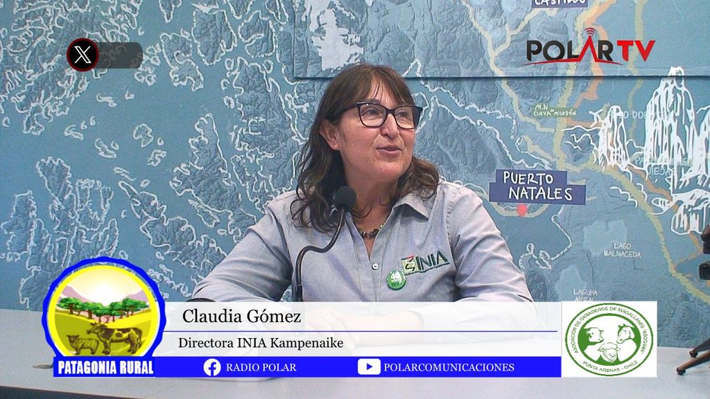 Imagen de WhatsApp 2024-12-20 a las 16 Imagen de WhatsApp 2024-12-20 a las 16