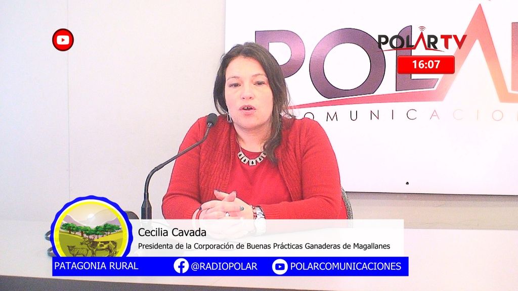 Imagen de WhatsApp 2024-04-19 a las 16 Imagen de WhatsApp 2024-04-19 a las 16