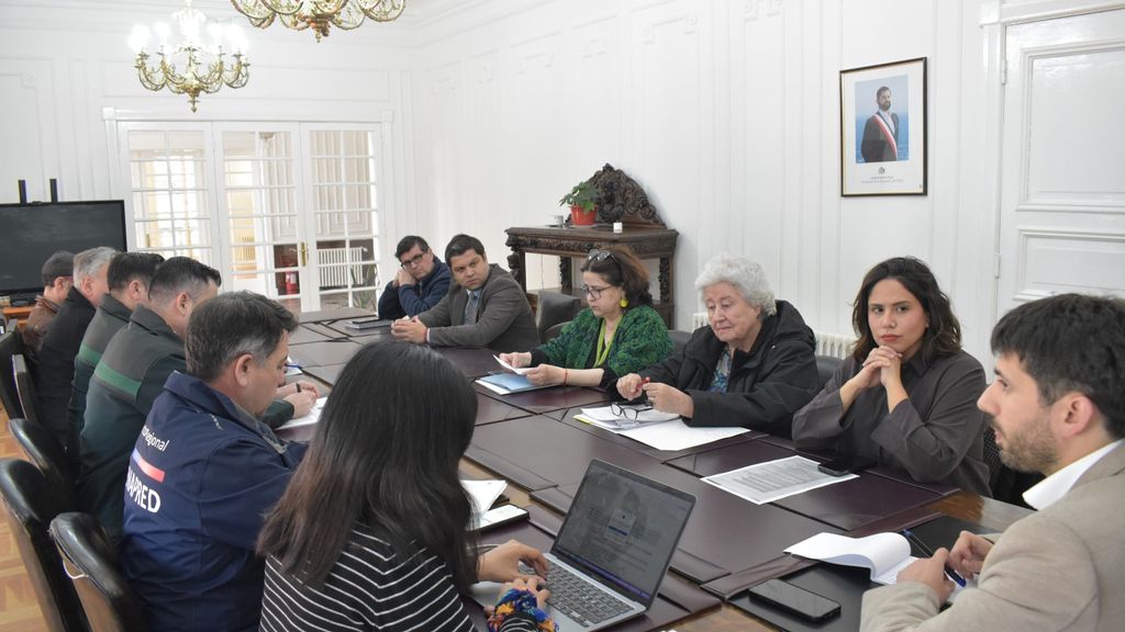 COGRID ELECCIONES 24 2 COGRID ELECCIONES 24 2