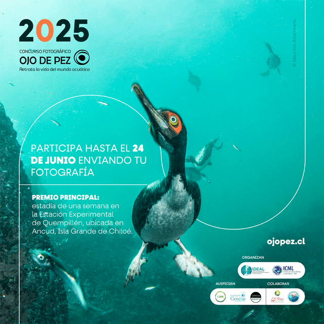 ojodepez2025 ojodepez2025