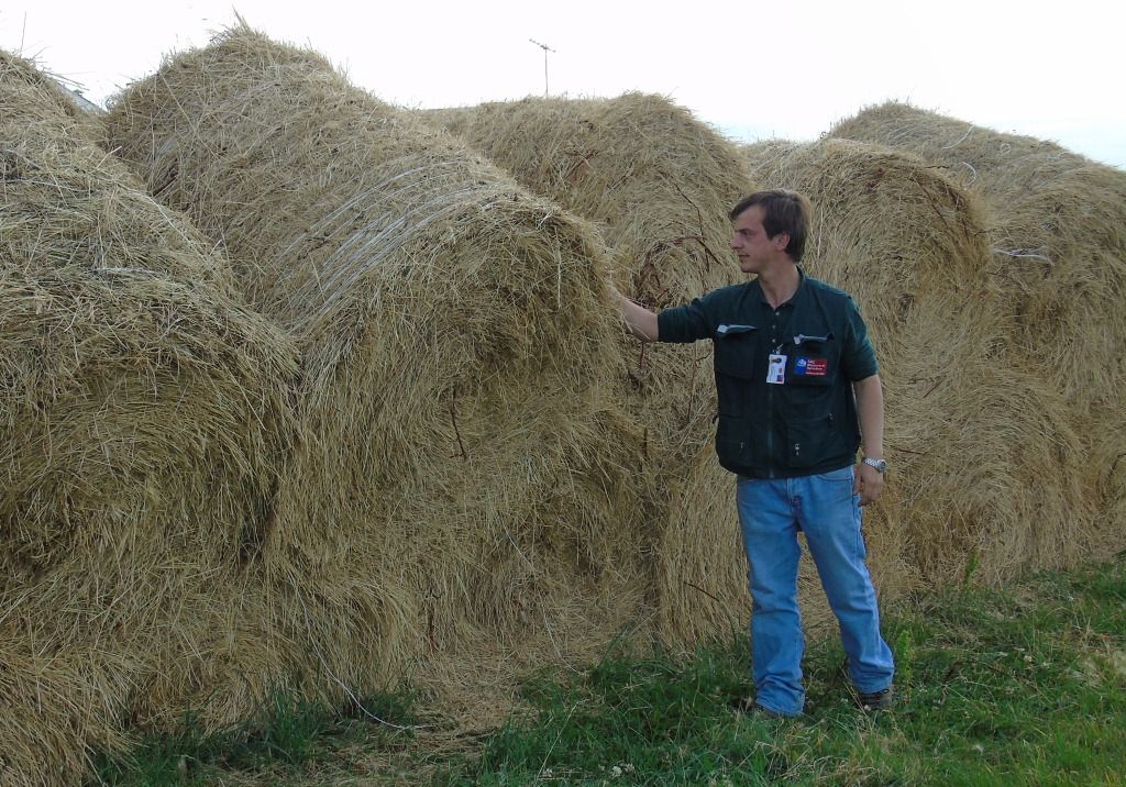 SIRSDS Forraje SIRSDS Forraje