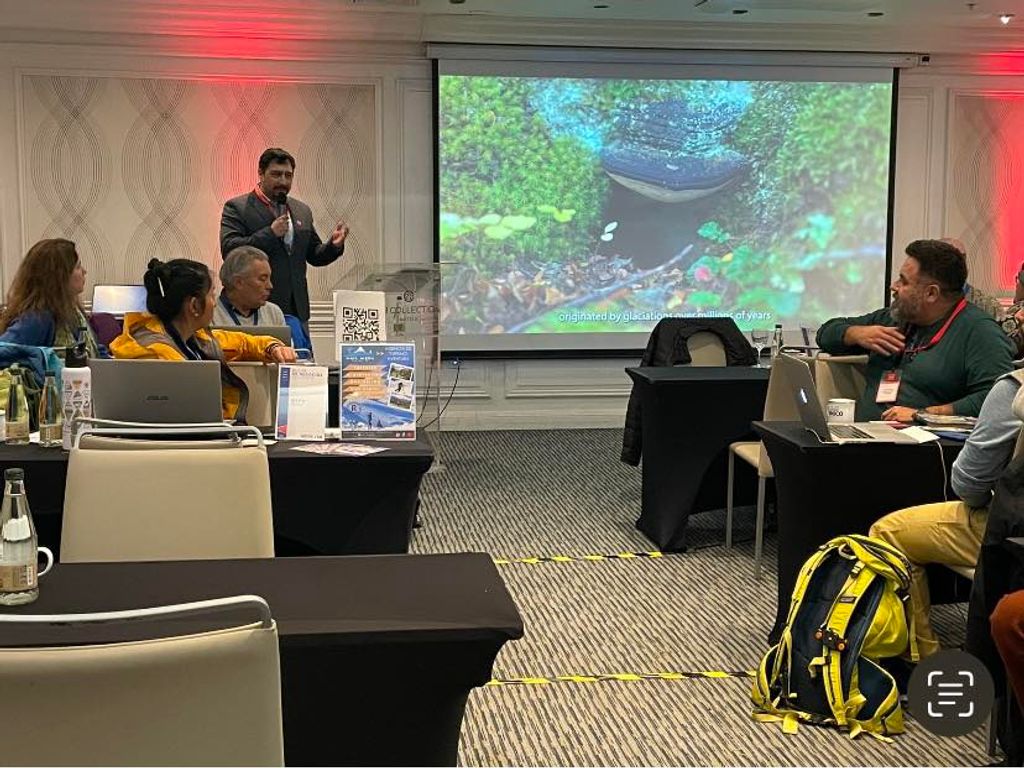 director sernatur magallanes director sernatur magallanes