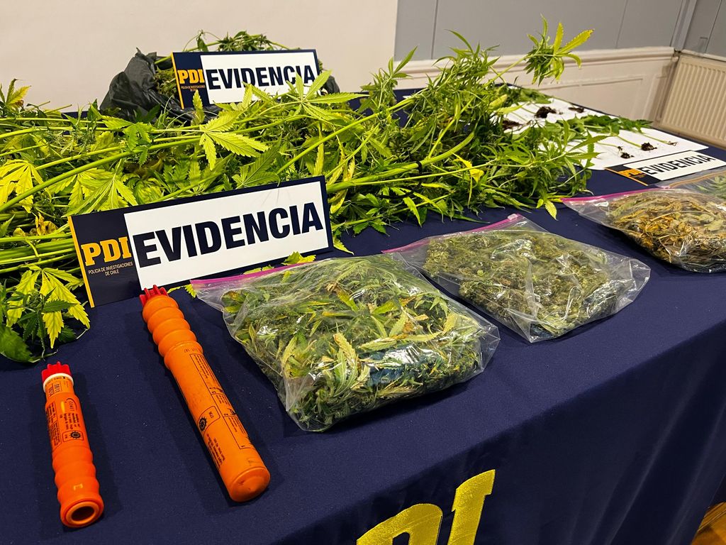 pdievidencia pdievidencia