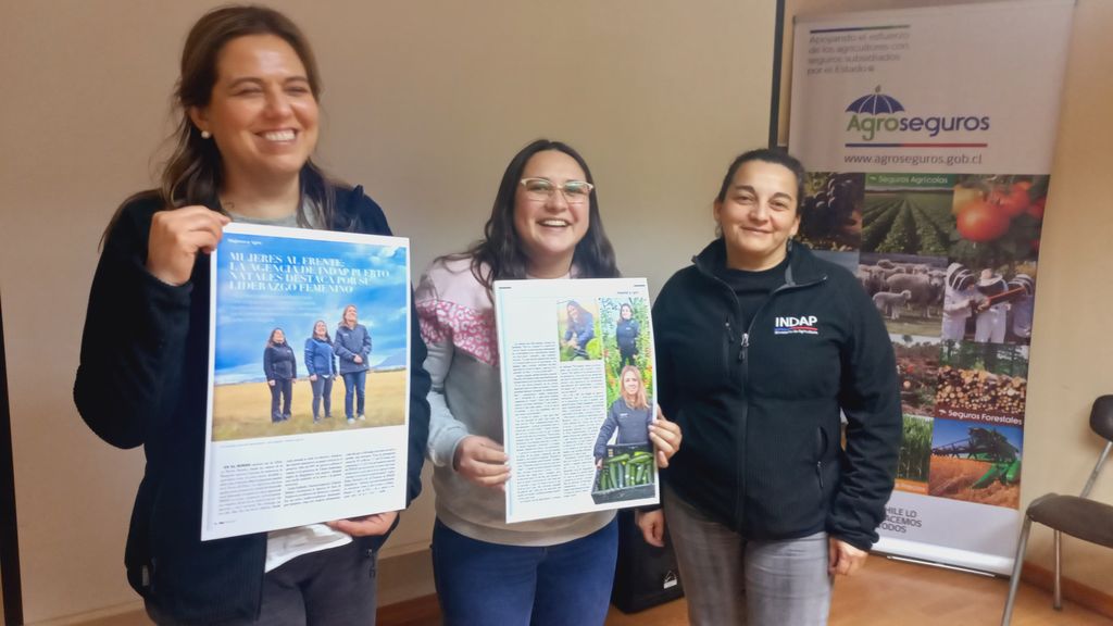 indapmujeres indapmujeres