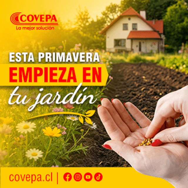 COVEPA_336X33-SEPT26-
