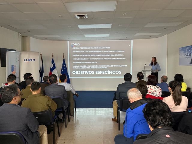 transformacorfoantartica transformacorfoantartica