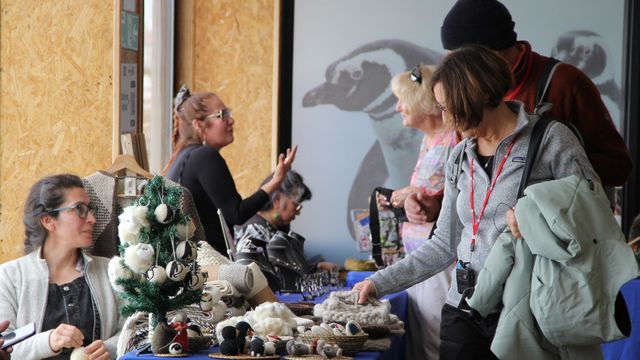 artesania epa artesania epa