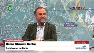 subdirectorcorfo subdirectorcorfo