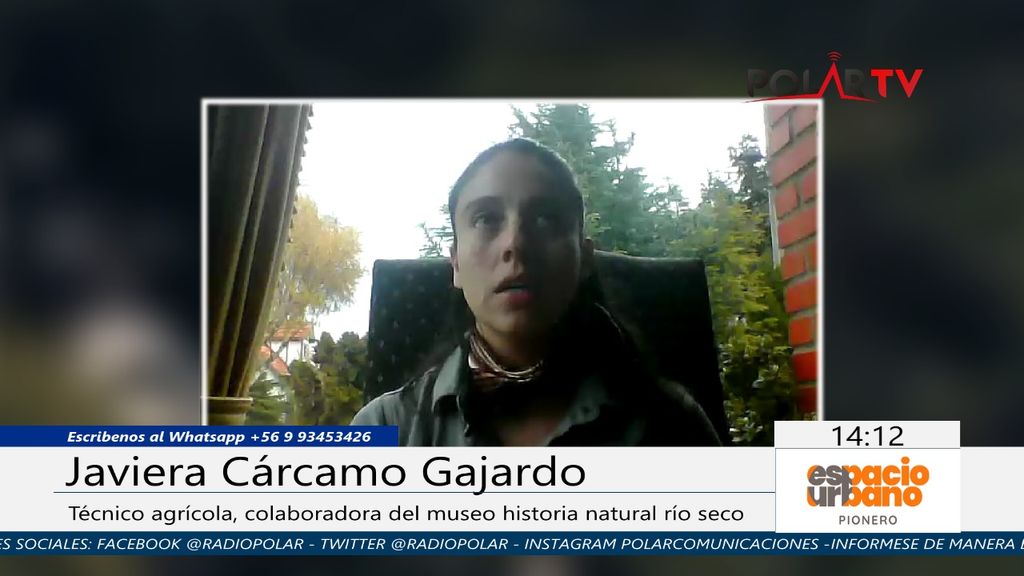 Imagen de WhatsApp 2024-05-02 a las 14 Imagen de WhatsApp 2024-05-02 a las 14