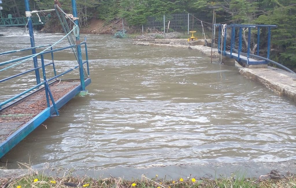 CAPTACIÓN _WILLIAMS