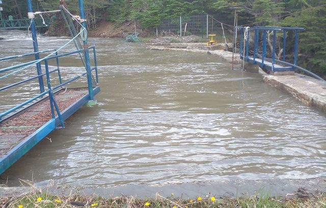 CAPTACIÓN _WILLIAMS CAPTACIÓN _WILLIAMS