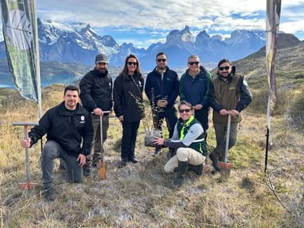 conafpaine conafpaine