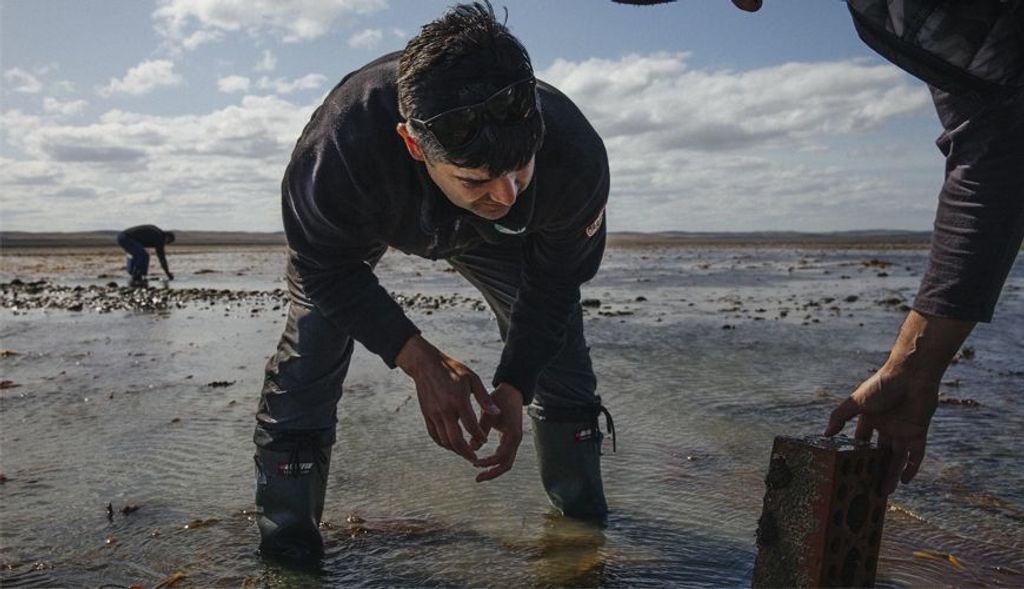 mauricio-palacios-bosque-marinos-centro-ideal mauricio-palacios-bosque-marinos-centro-ideal