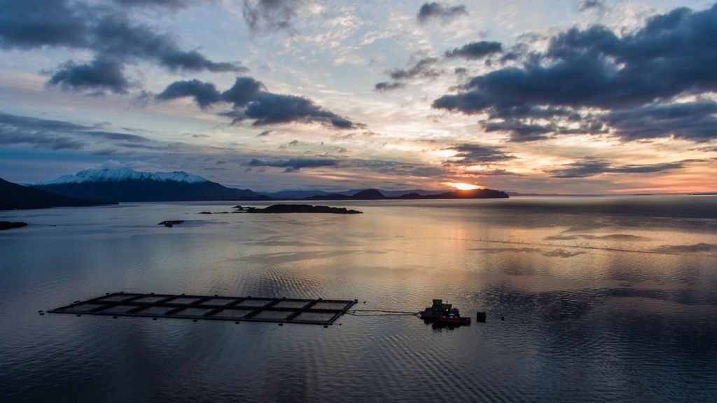 Foto-1-Asociacion-de-Salmonicultores-de-Magallanes-scaled Foto-1-Asociacion-de-Salmonicultores-de-Magallanes-scaled