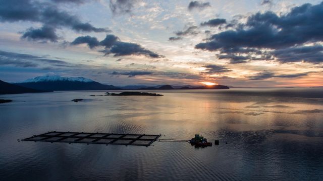 Foto-1-Asociacion-de-Salmonicultores-de-Magallanes-scaled