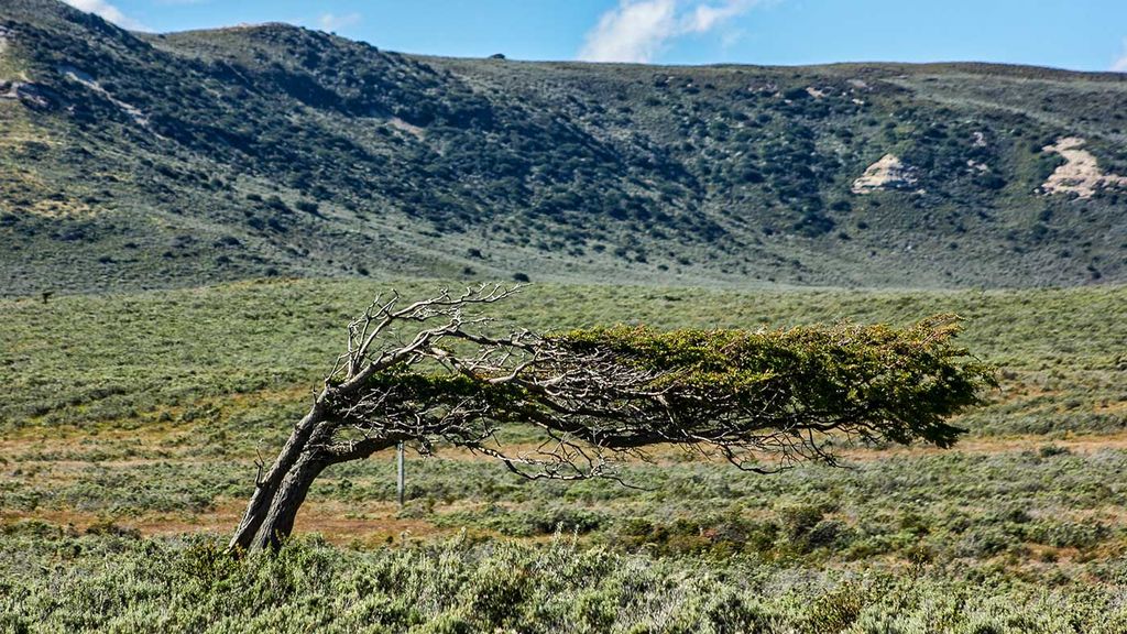 Naturaleza Naturaleza