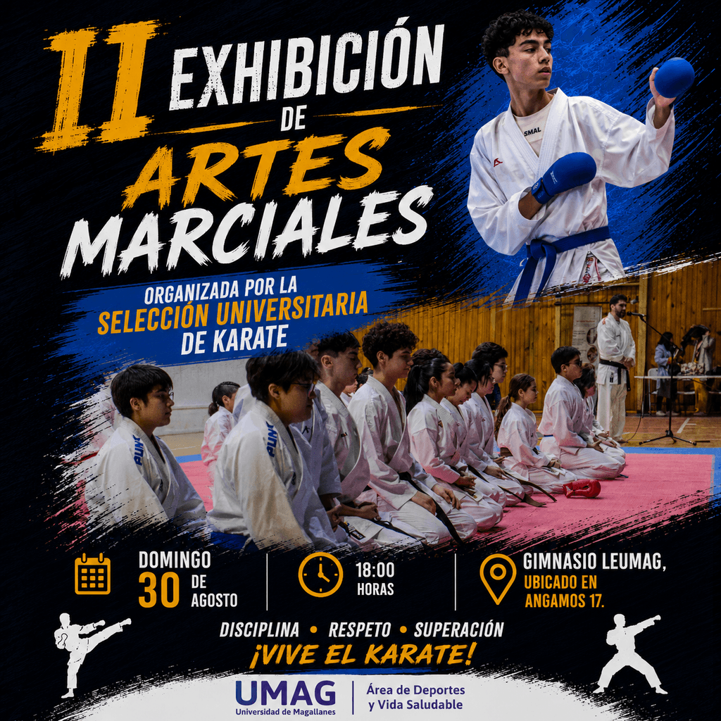 exhibicionartesmarciales exhibicionartesmarciales