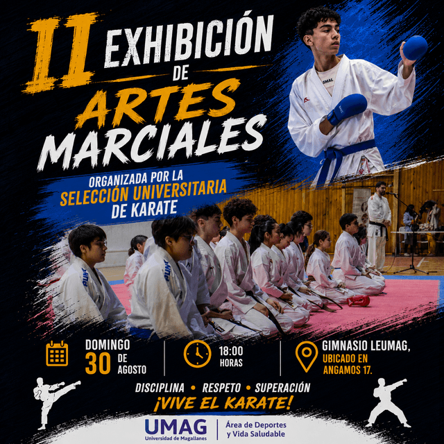 exhibicionartesmarciales exhibicionartesmarciales