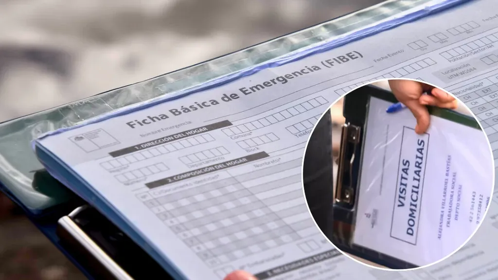 ficha-fibe ficha-fibe