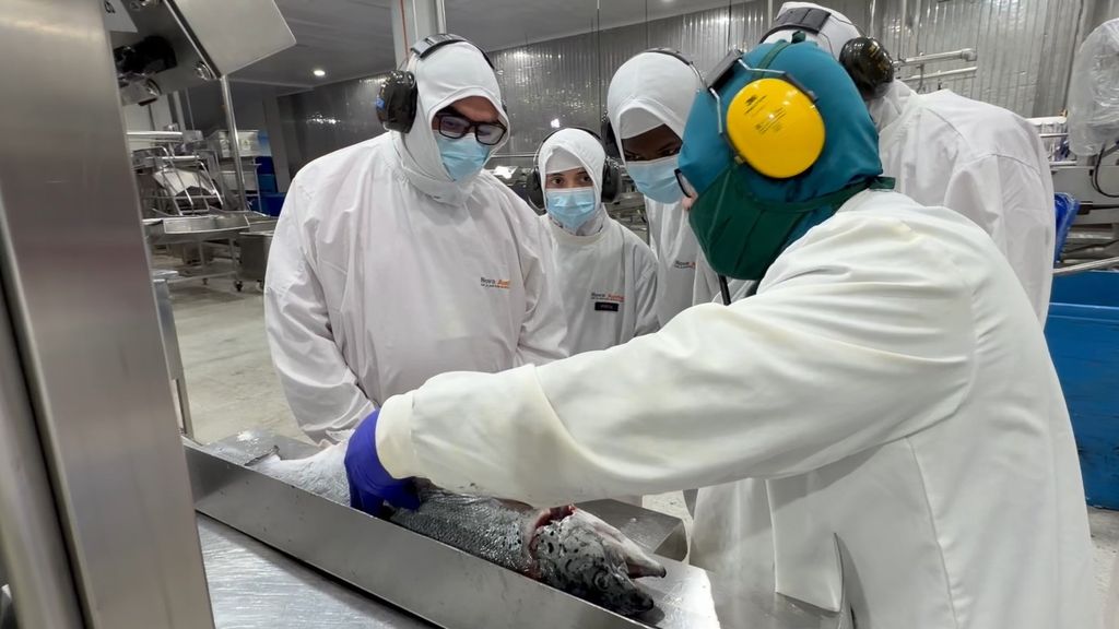 NobelesAustrales_NovaAustral1