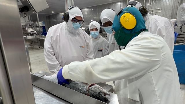 NobelesAustrales_NovaAustral1