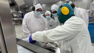 NobelesAustrales_NovaAustral1 NobelesAustrales_NovaAustral1