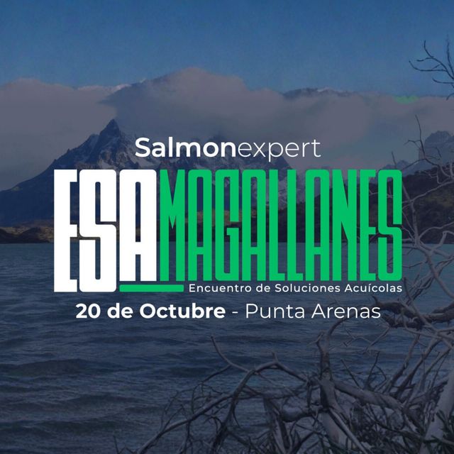 SALMON EXPORT