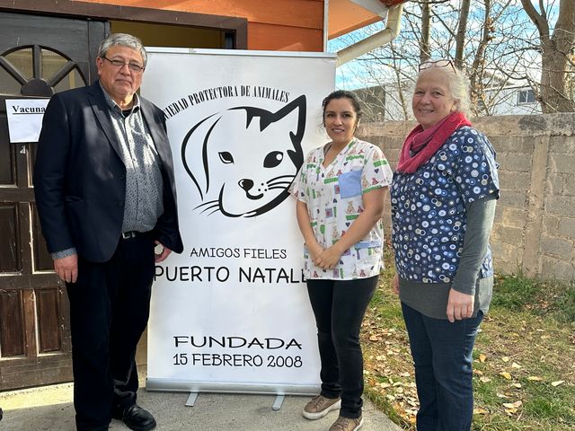 tenencia 2 (2) tenencia 2 (2)