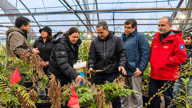 Visita técnica en vivero de plantas