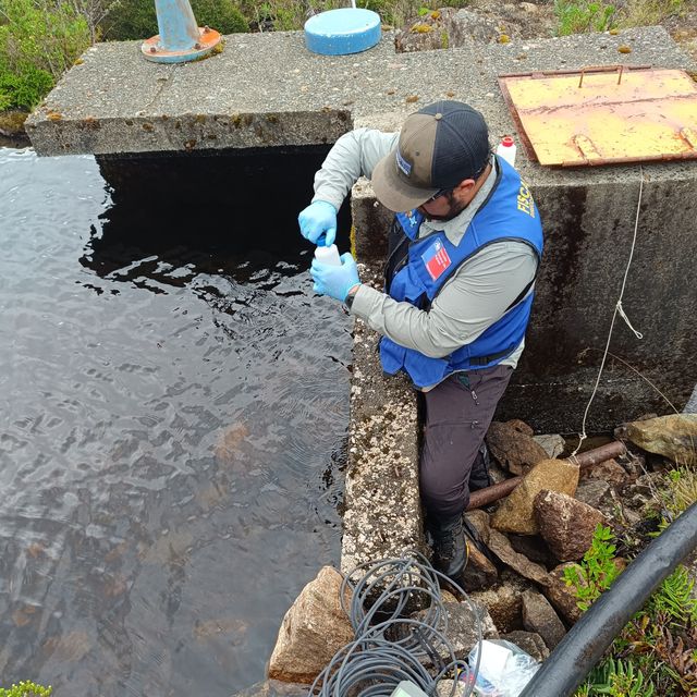 dgaptoeden dgaptoeden