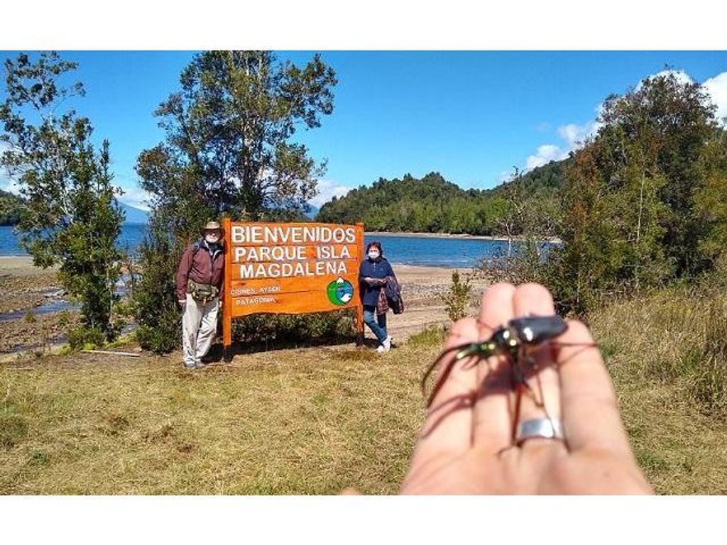 NOTAS DE VIAJE: DESCUBRIENDO LA REGIÓN DE AYSÉN NOTAS DE VIAJE: DESCUBRIENDO LA REGIÓN DE AYSÉN