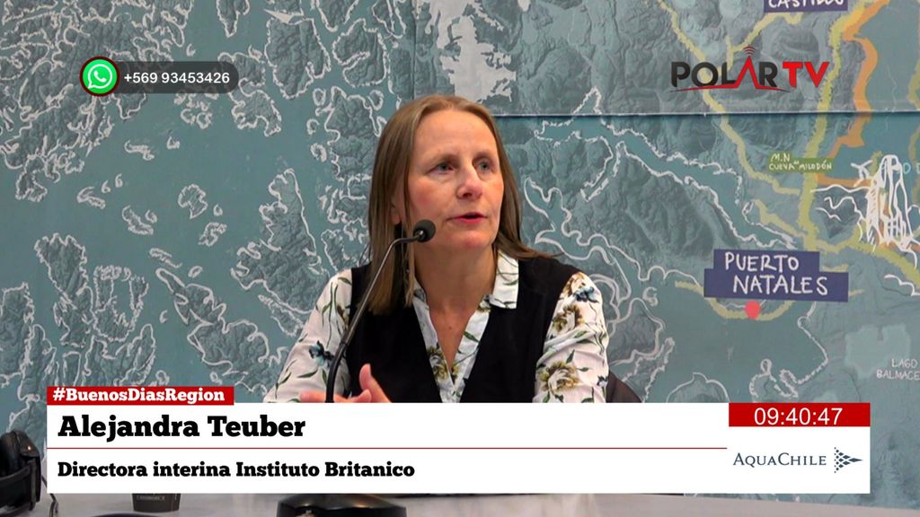 binstitute binstitute