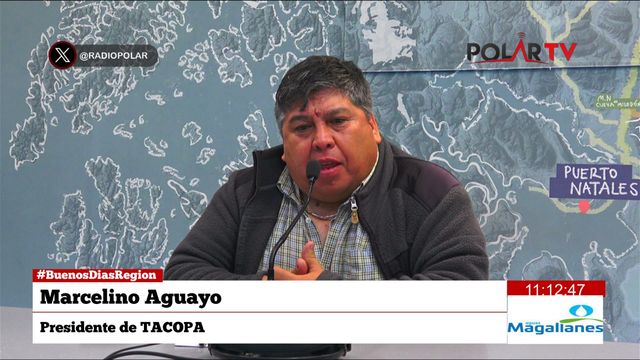 marcelinoaguayo marcelinoaguayo