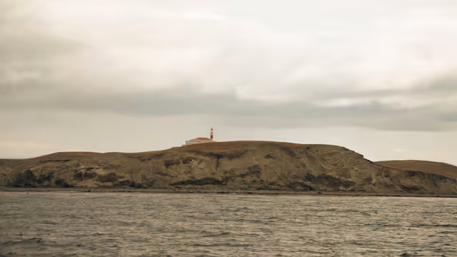 fallascotia