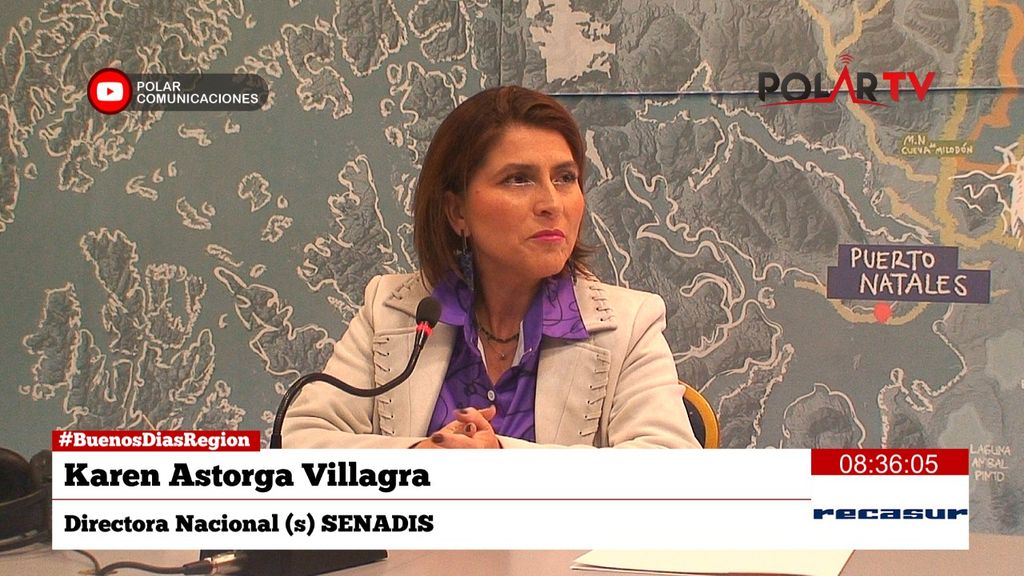 director(s)senadis director(s)senadis