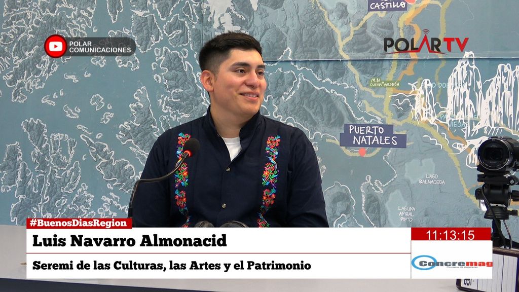 Luis Navarro Almonacid, Seremi de las culturas, las artes y el patrimonio