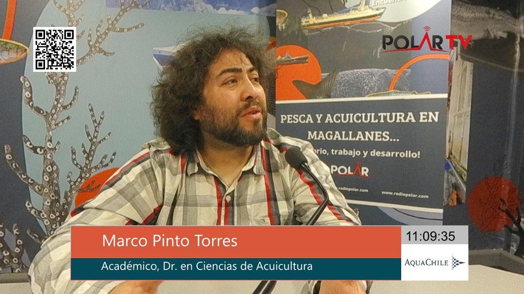 MARCO PINTO MARCO PINTO