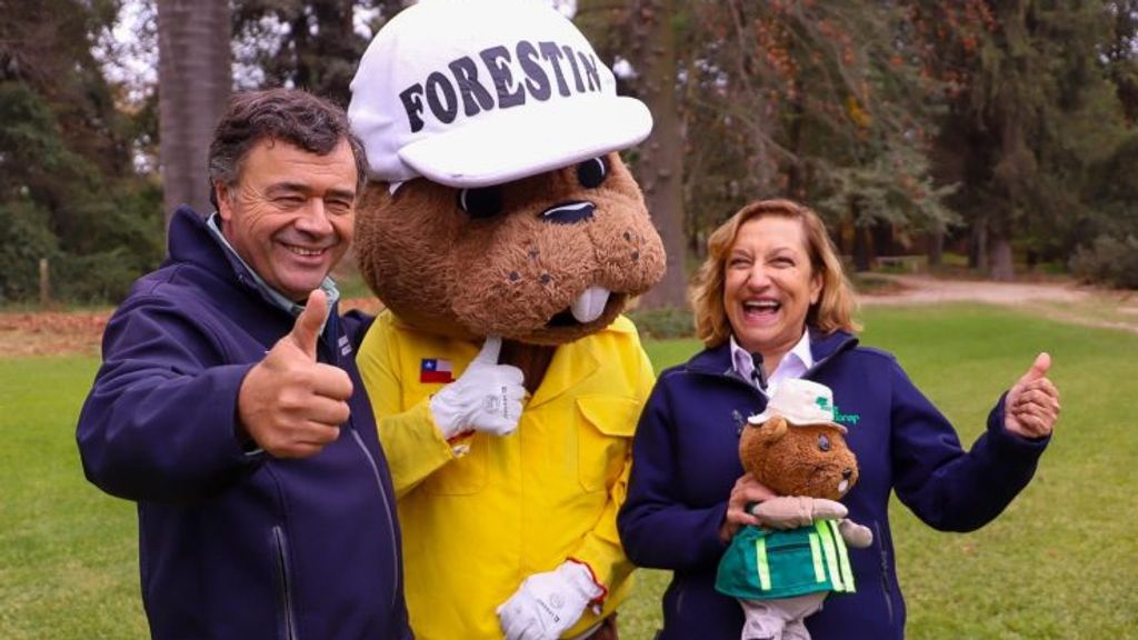 conafservicio conafservicio