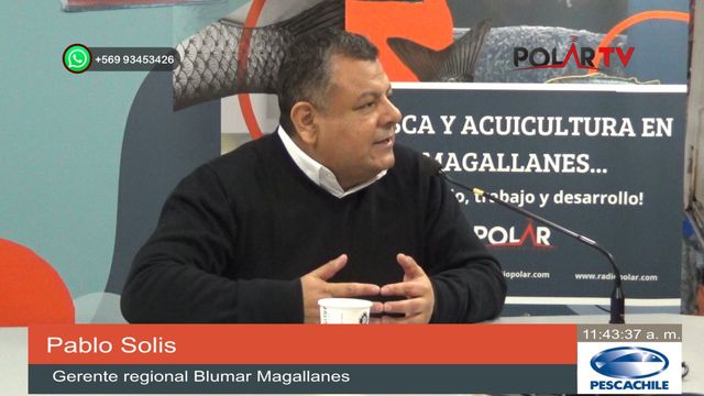 blumarmagallanes blumarmagallanes
