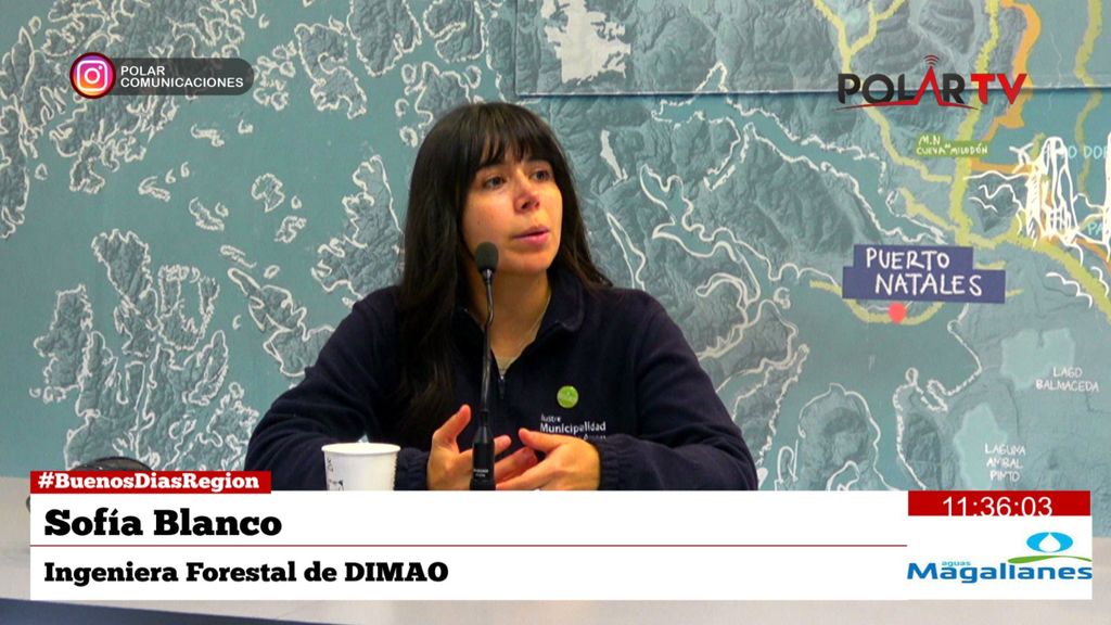sofiadimao sofiadimao